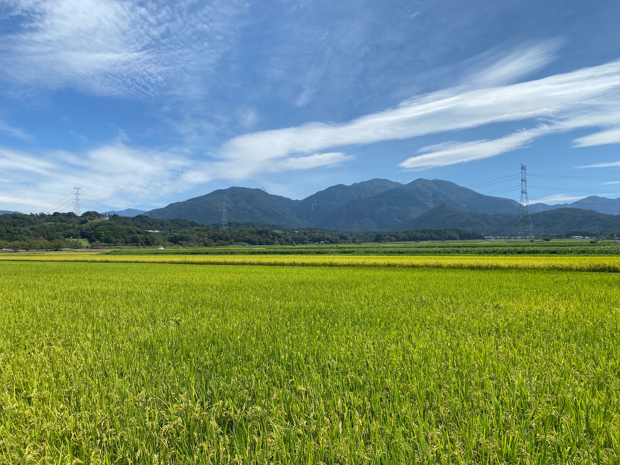 日野町の景色