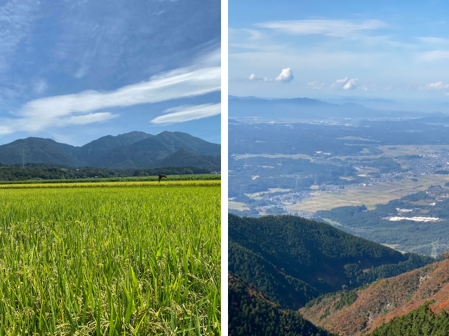 綿向山と田んぼ、綿向山から見た日野町の画像