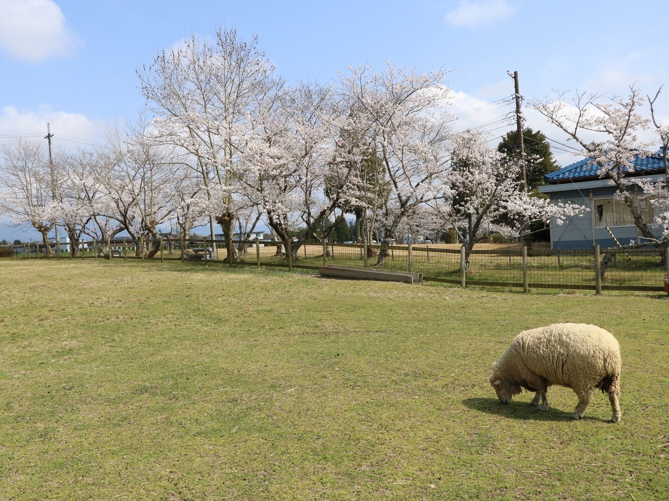 畜産技術振興センター