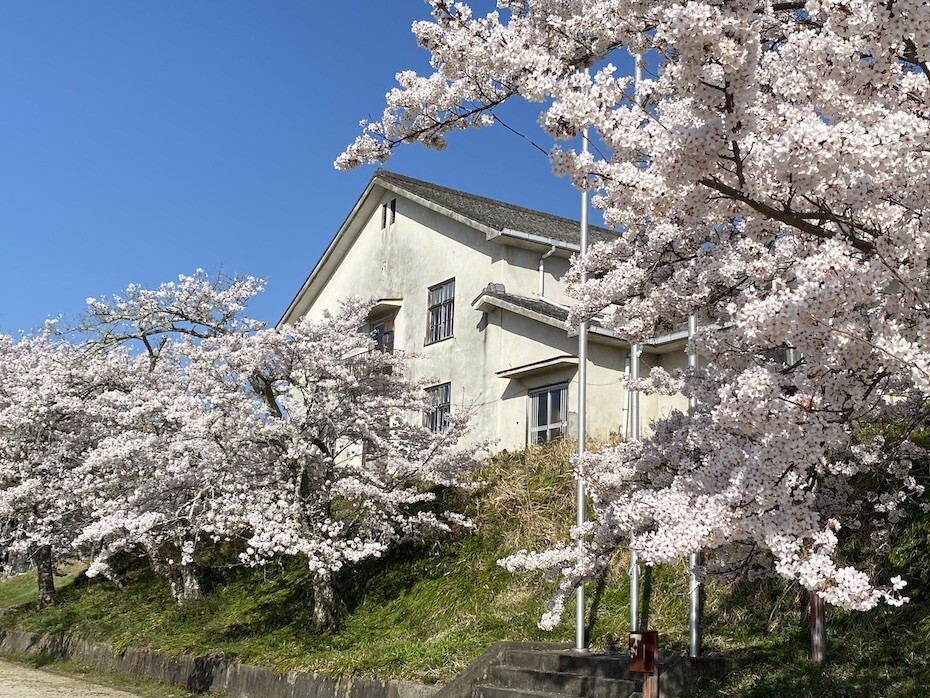 しゃくなげ学校